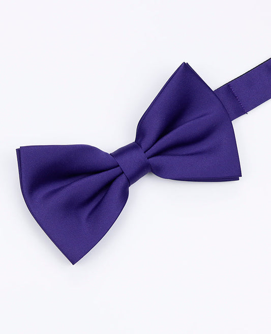 Noeud Papillon Violet n°1 Homme en Polyester | Anatole - Unipap's
