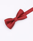 Fliege Rot Nr. 2 mit Punkten Kinder aus Polyester „Louis