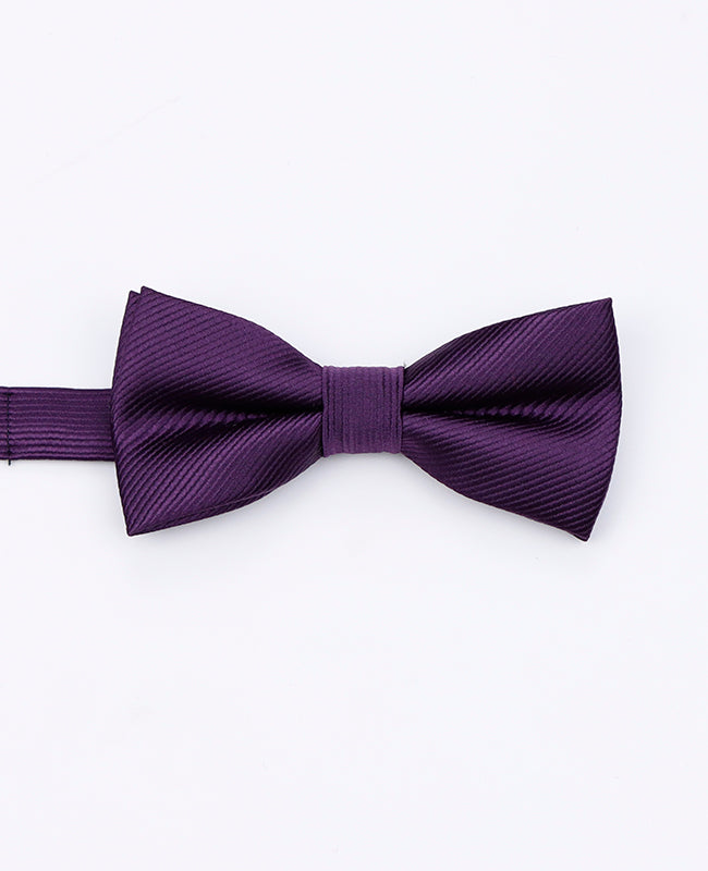 Fliege Violett Nr. 2 Kinder aus Polyester | Lucien - Unipap's