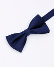 Fliege Blau n°1 Herren aus Polyester | Lucien - Unipap's