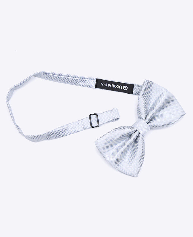 Fliege Grau n°1 Herren Polyester | Martin - Unipap's