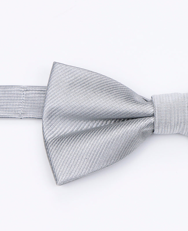 Fliege Grau n°2 Herren Polyester | Lucien - Unipap's