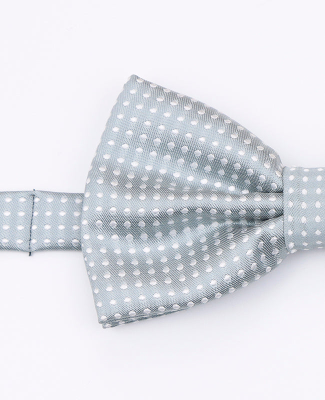 Graue Fliege mit Punkten für Herren aus Polyester | Louis - Unipap's
