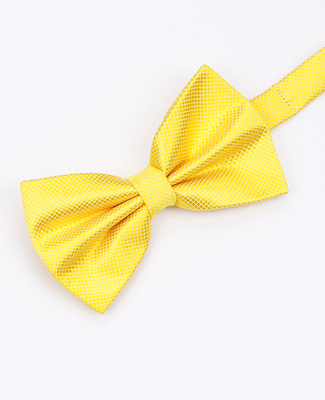 Gelbe Fliege Herren Polyester | Martin - Unipap's