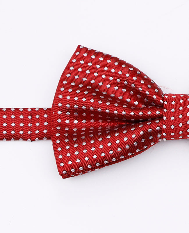 Rote Fliege n°2 mit Punkten Herren aus Polyester | Louis - Unipap's