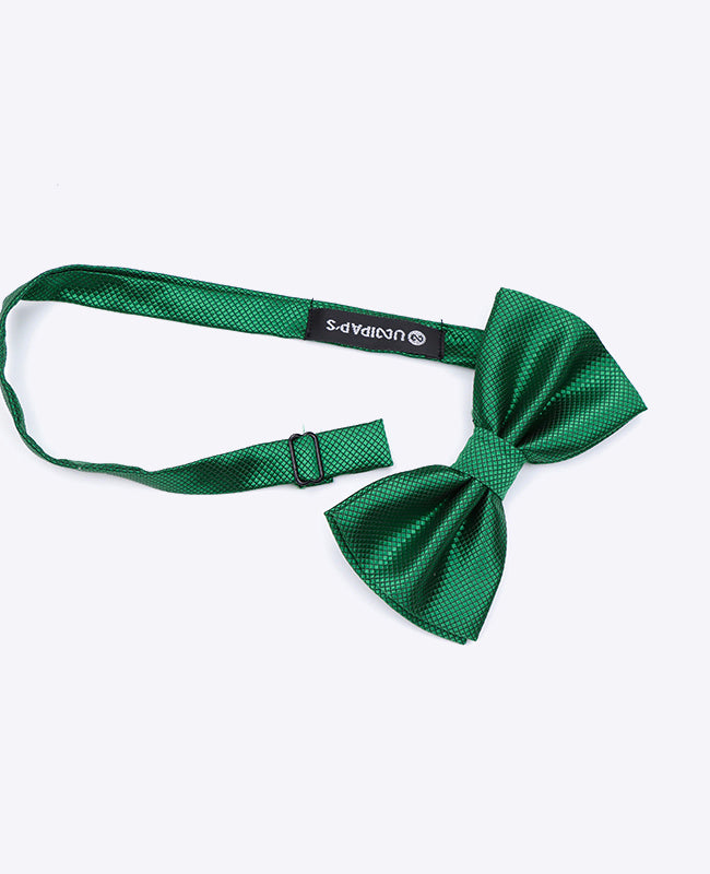 Fliege Grün Nr. 1 Herren Polyester | Martin - Unipap's