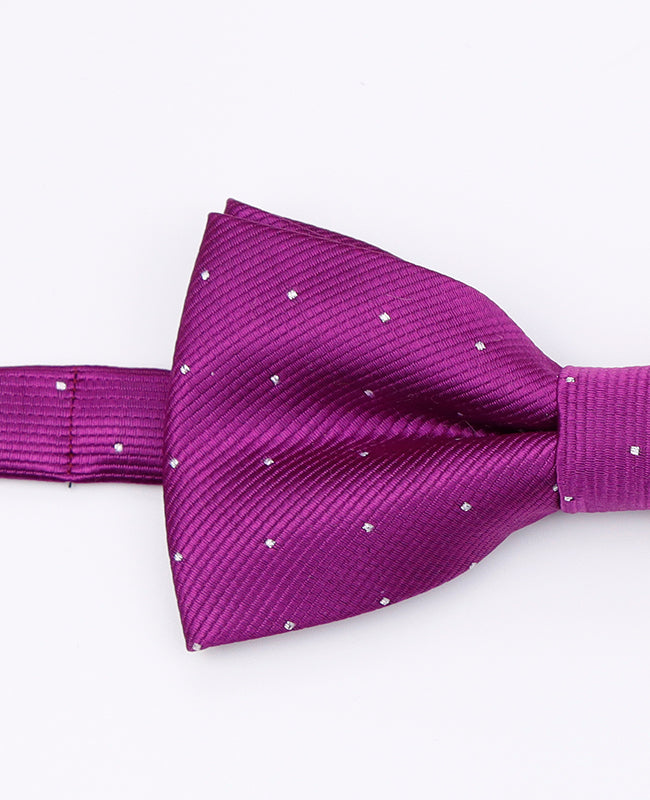 Fliege Violett mit Punkten Herren Polyester | Georges - Unipap's