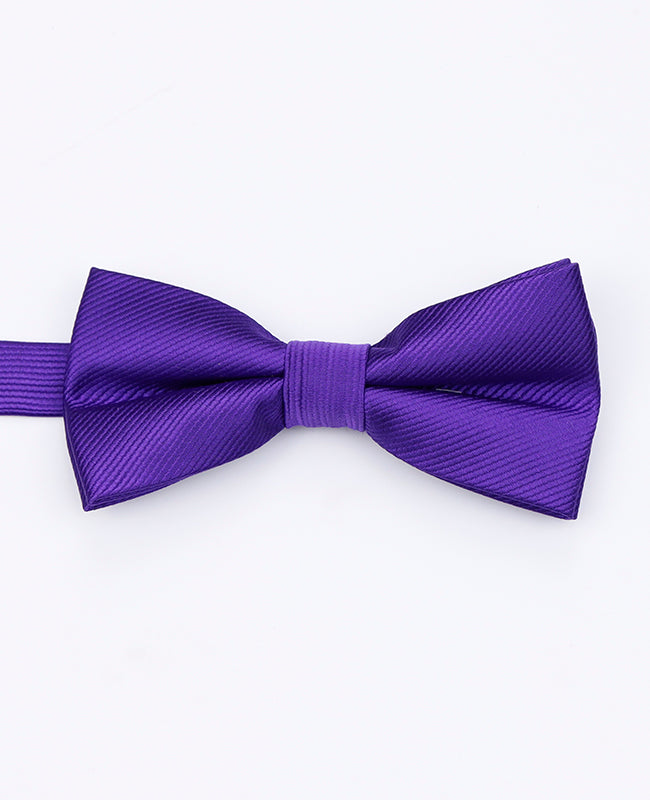 Noeud Papillon Violet n°1 Homme en Polyester | Lucien - Unipap's