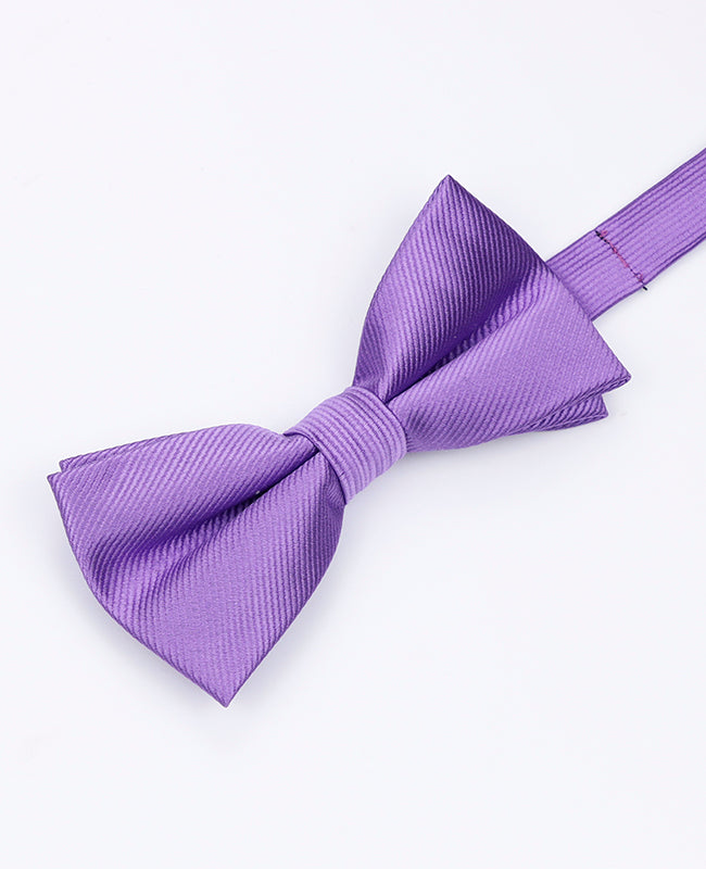 Fliege Violett Nr. 3 Herren Polyester | Lucien - Unipap's