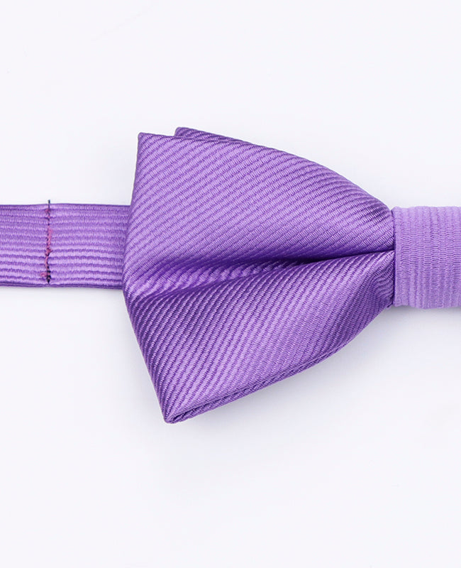 Fliege Violett Nr. 3 Herren Polyester | Lucien - Unipap's