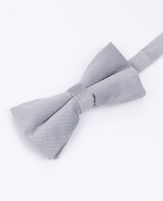 Graue Herren-Fliege aus Samt «Marius»