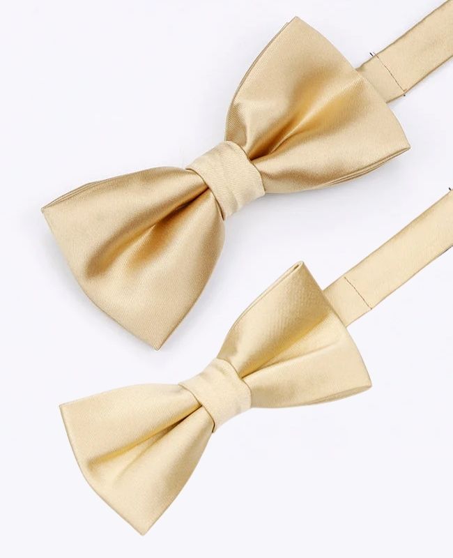 Fliegen Gold Nr. 2 Vater & Sohn aus Polyester «Jules»
