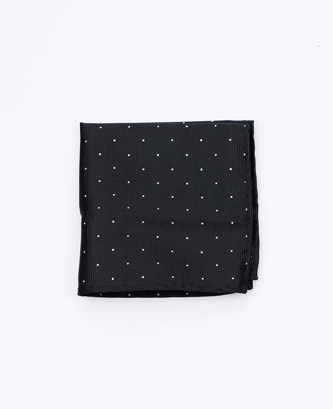 Einstecktuch Schwarz aus Polyester | Georges - Unipap's