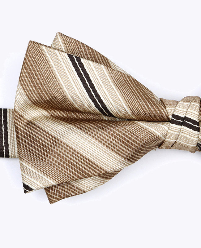 Fliege Beige Nr. 2 gestreift Herren aus Polyester «Edmond»