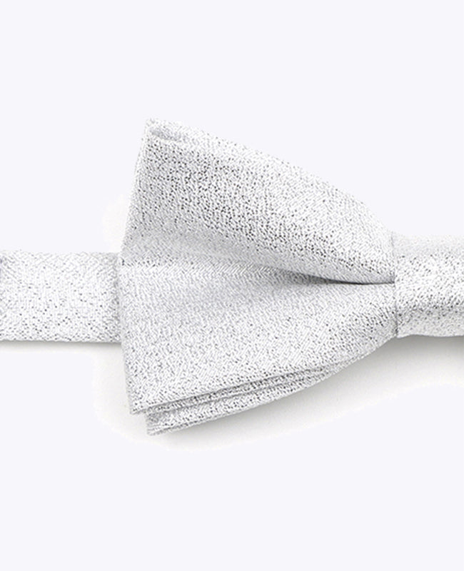 Fliege mit silbernen Pailletten Nr. 1 Kinder aus Polyester | Isidore - Unipap's