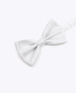 Fliege mit Pailletten Silber n°1 Herren aus Polyester | Isidore - Unipap's