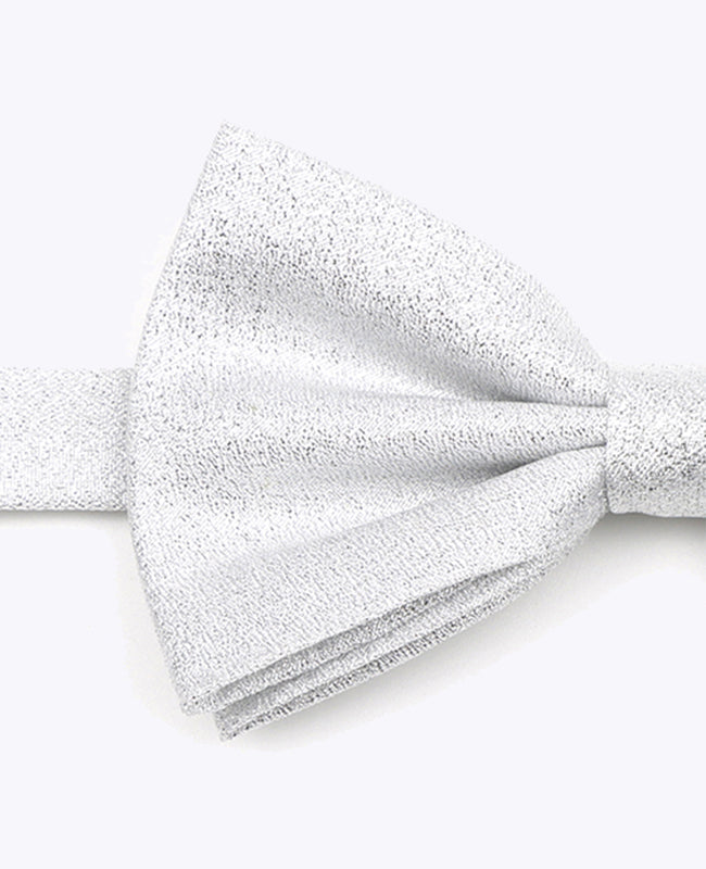 Fliege Silber Glitzer Nr.1 Herren aus Polyester | Isidore - Unipap's