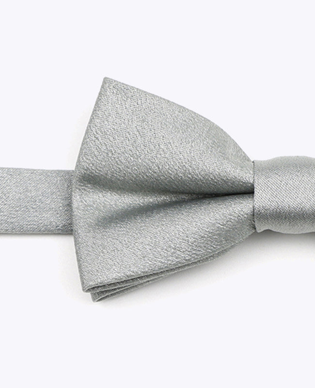 Fliege Silber n°2 Kinder Polyester | Armand - Unipap's