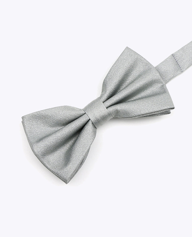 Fliege Silber n°2 Herren Polyester 