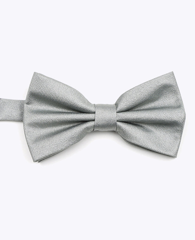 Fliege Silber n°2 Herren Polyester 