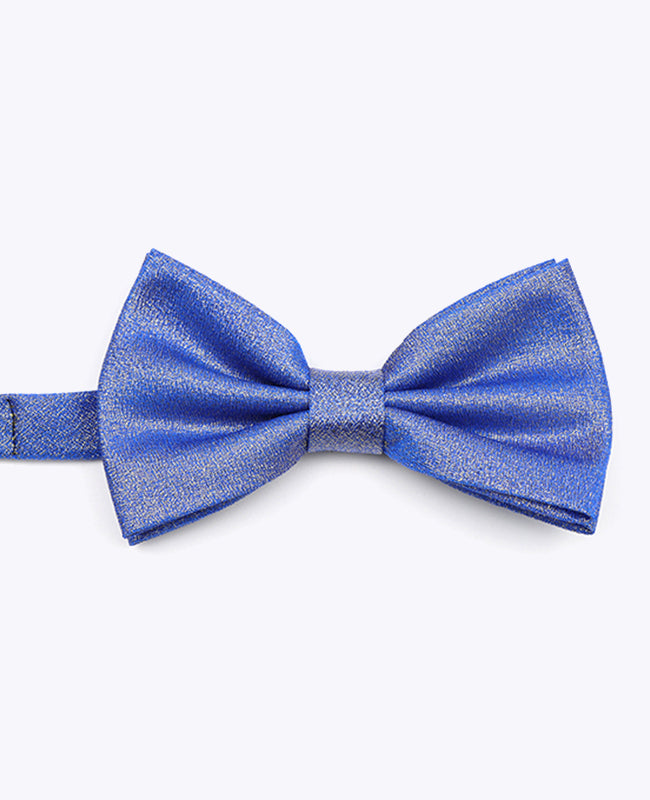 Glitzer-Fliege Blau n°2 Herren Polyester | Isidore - Unipap's