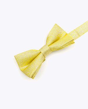 Fliege mit Pailletten Gold n°1 Kinder aus Polyester | Isidore - Unipap's