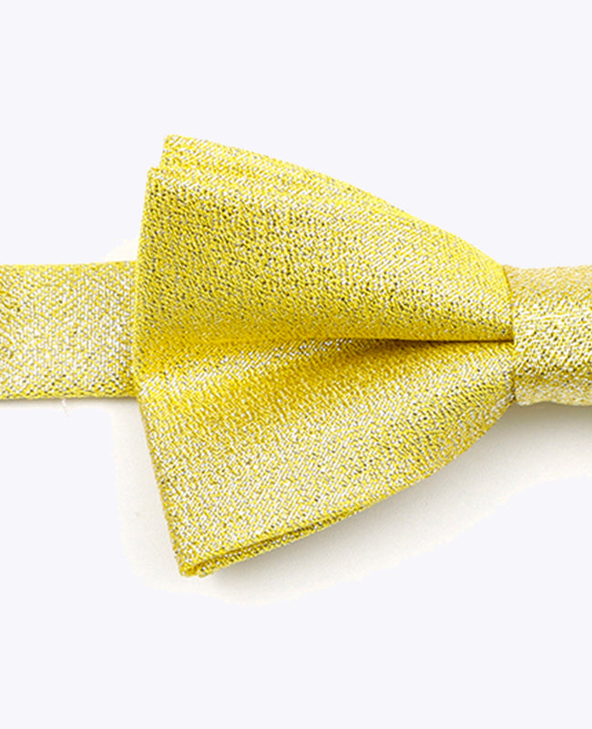 Fliege Gold Glitzer Nr.1 Kinder aus Polyester | Isidore - Unipap's