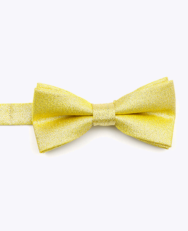 Fliege mit Pailletten Gold n°1 Kinder aus Polyester | Isidore - Unipap's