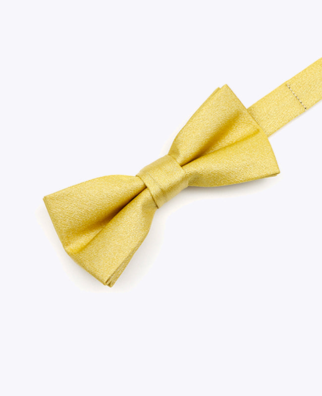 Fliege Gold n°2 Kinder Polyester | Armand - Unipap's
