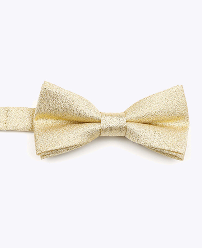 Glitzer-Fliege Gold n°2 Kinder Polyester | Isidore - Unipap's