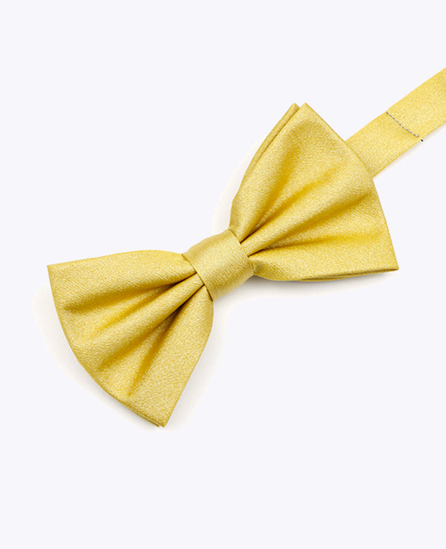 Fliege Gold n°2 Herren Polyester 