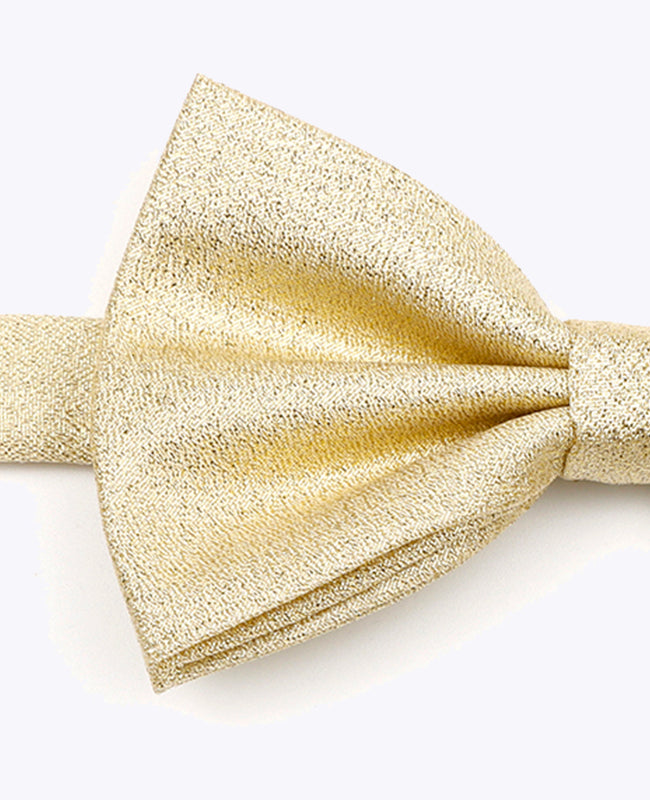 Glitzer-Fliege Gold n°2 Herren aus Polyester | Isidore - Unipap's