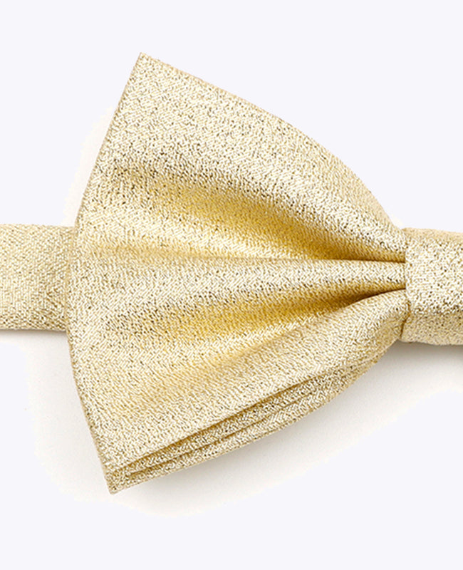 Noeud Papillon à Paillette Doré n°2 Homme en Polyester | Isidore - Unipap's
