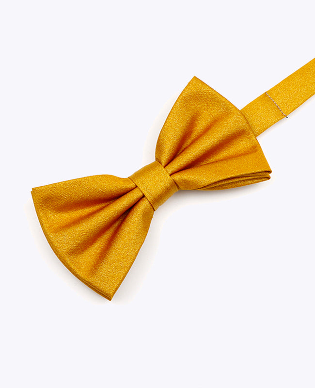 Fliege mit goldenen Pailletten Nr. 3 Herren aus Polyester | Armand - Unipap's