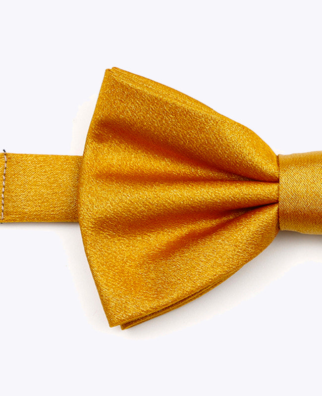 Fliege Gold n°3 Herren Polyester mit Pailletten | Armand - Unipap's