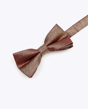 Glitzer-Fliege Braun n°2 Kinder Polyester | Isidore - Unipap's