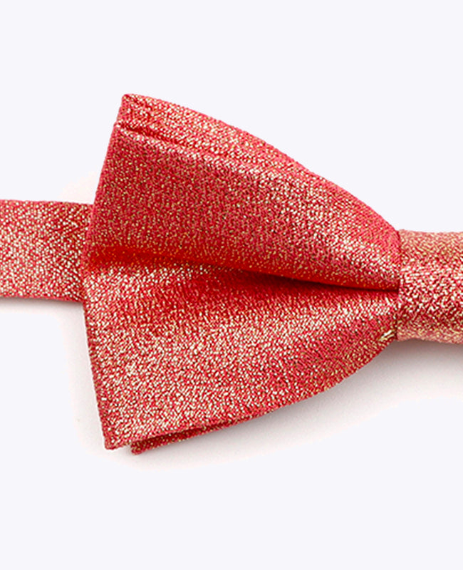 Glitzer-Fliege Rot n°2 Kinder Polyester | Isidore - Unipap's