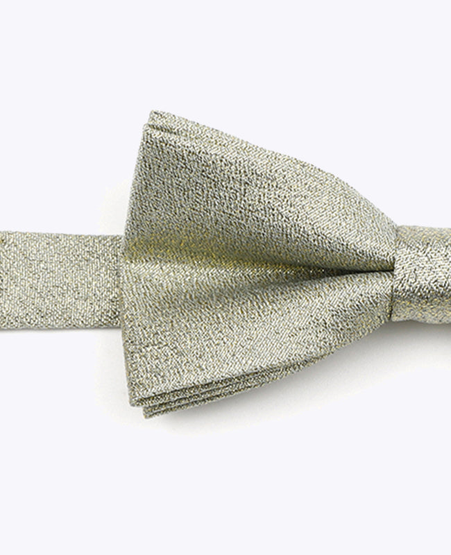 Glitzer-Fliege Grün n°1 Kinder Polyester | Isidore - Unipap's