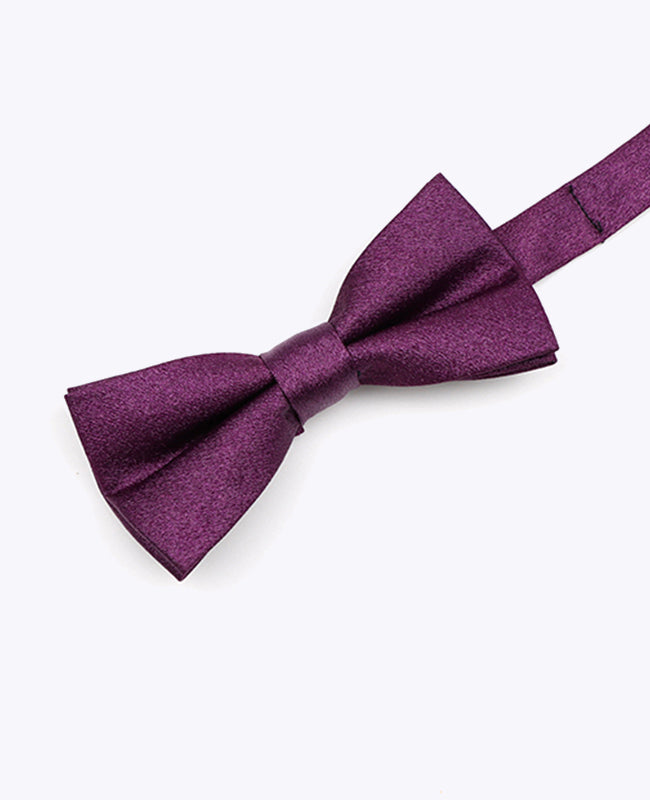 Fliege Violett Glitzer Nr. 1 Kinder Polyester | Armand - Unipap's