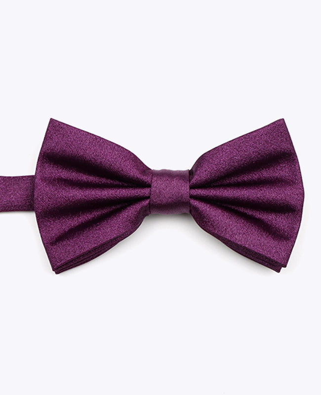 Noeud Papillon à Paillette Violet n°1 Homme en Polyester | Armand - Unipap's