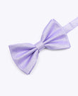Fliege mit Pailletten Violett n°1 Herren aus Polyester | Isidore - Unipap's