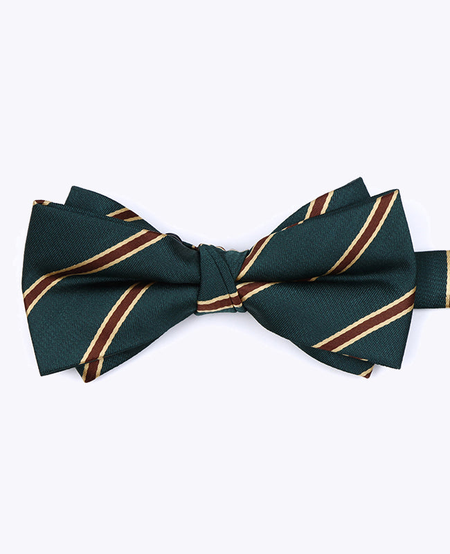 Fliege Grün gestreift Herren Polyester «Edmond»