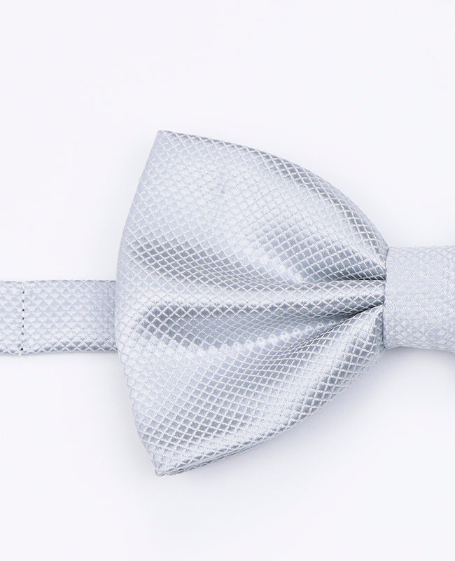 Noeud Papillon Gris n°1 Homme en Polyester | Martin - Unipap's