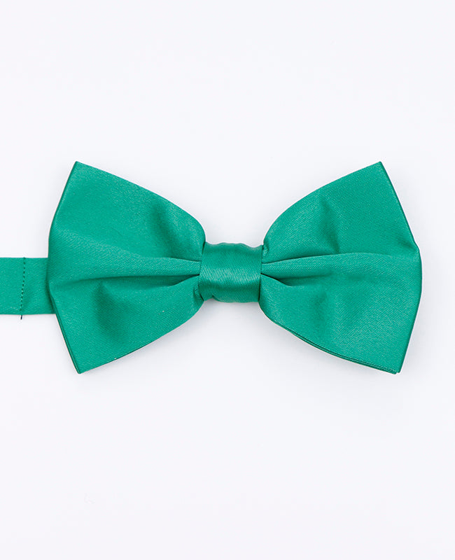 Noeud Papillon Vert n°3 Homme en Polyester | Anatole - Unipap's